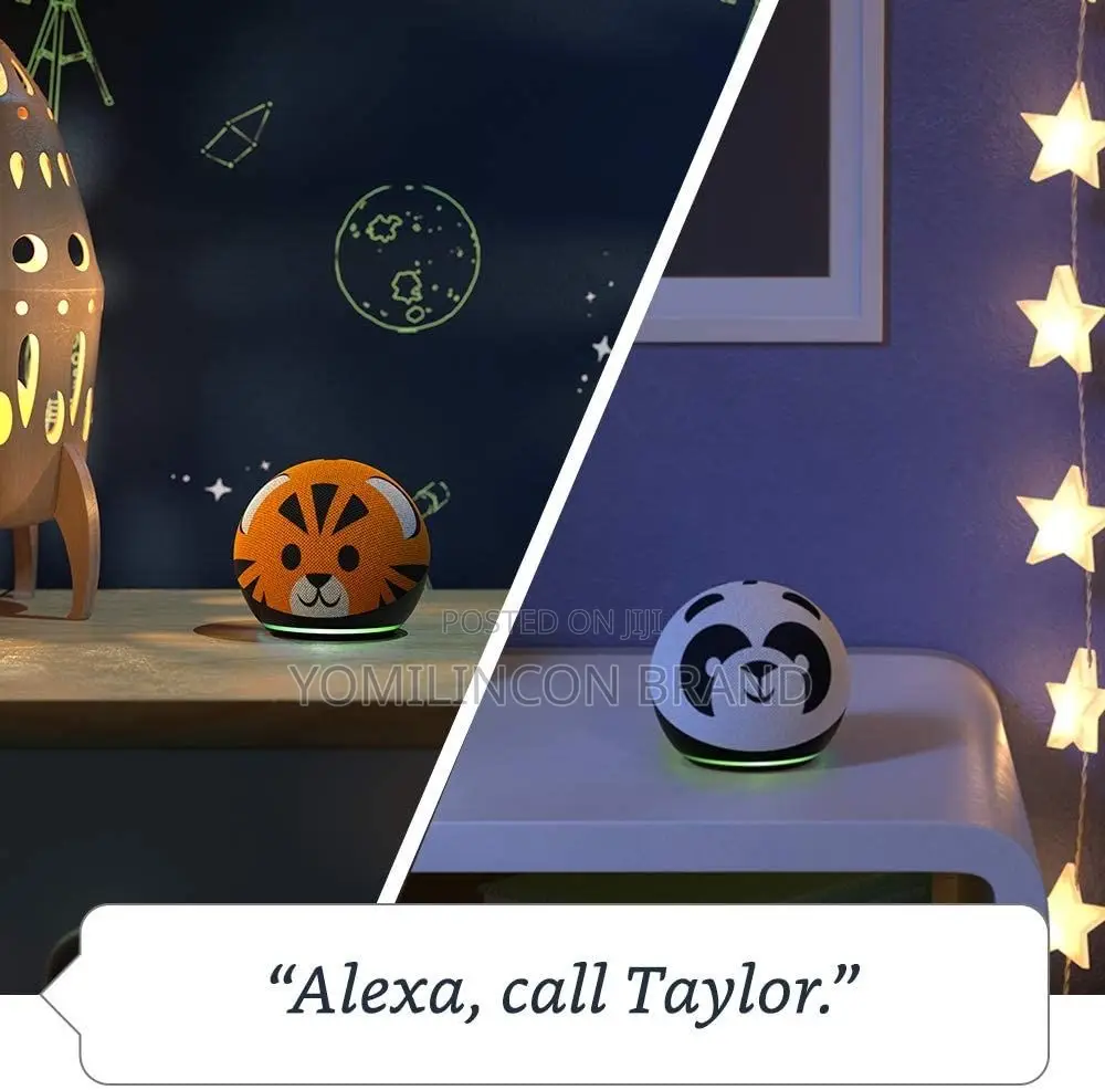 Echo Dot 4th Gen Kids Panda