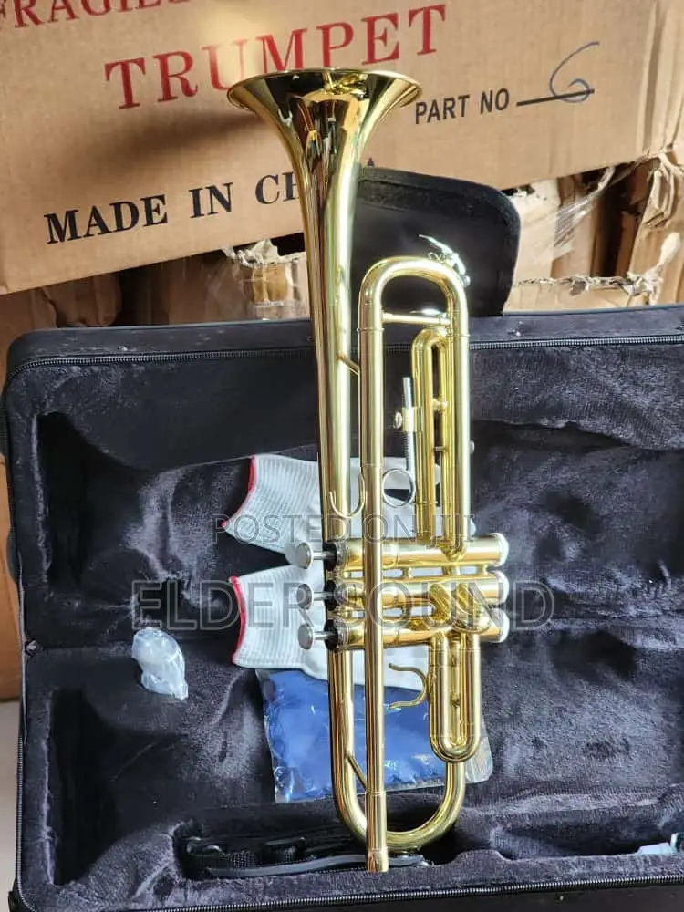 Yamaha Professional Trumpet With Accessories Gold Sliver