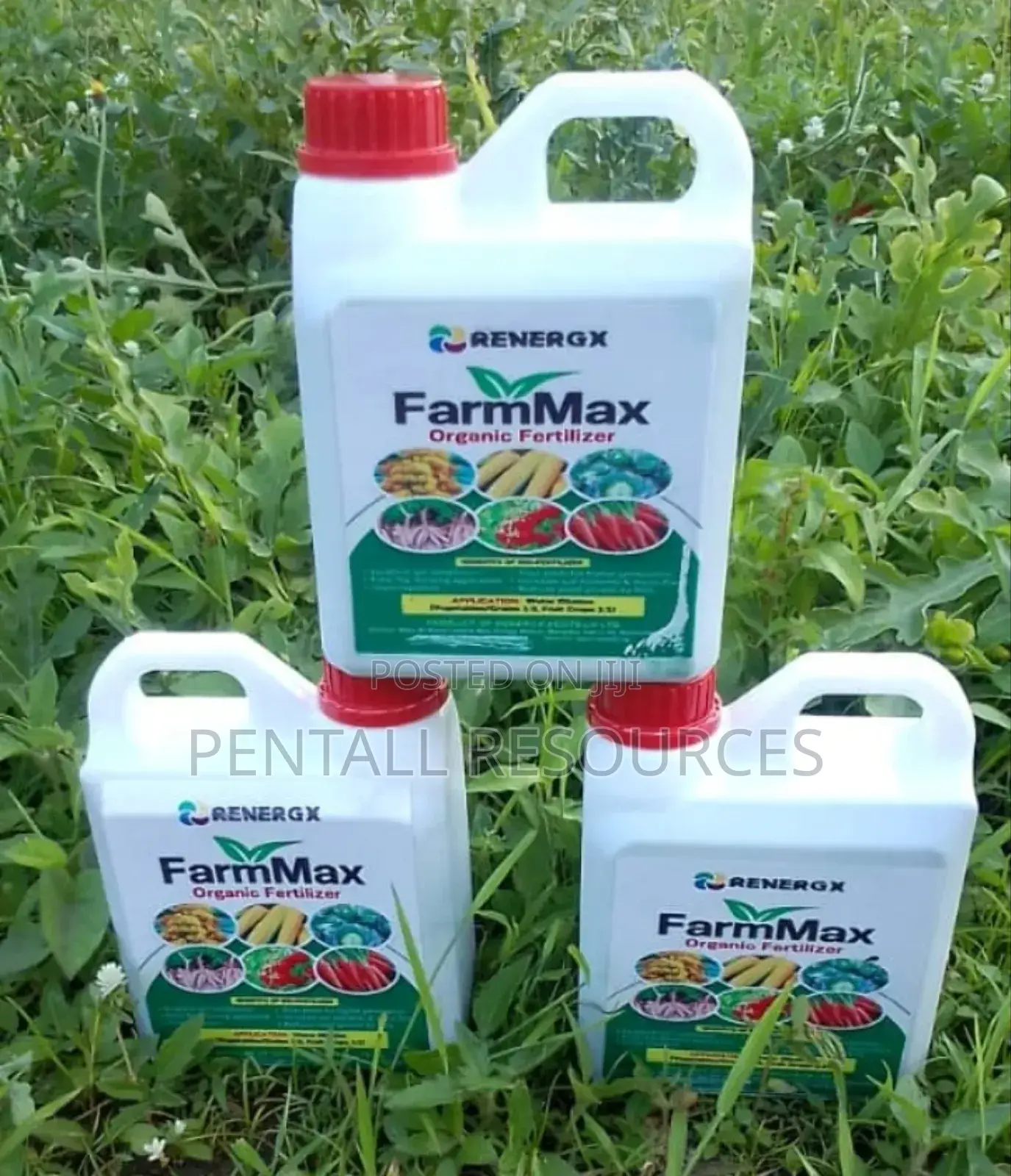 Organic Fertilizer