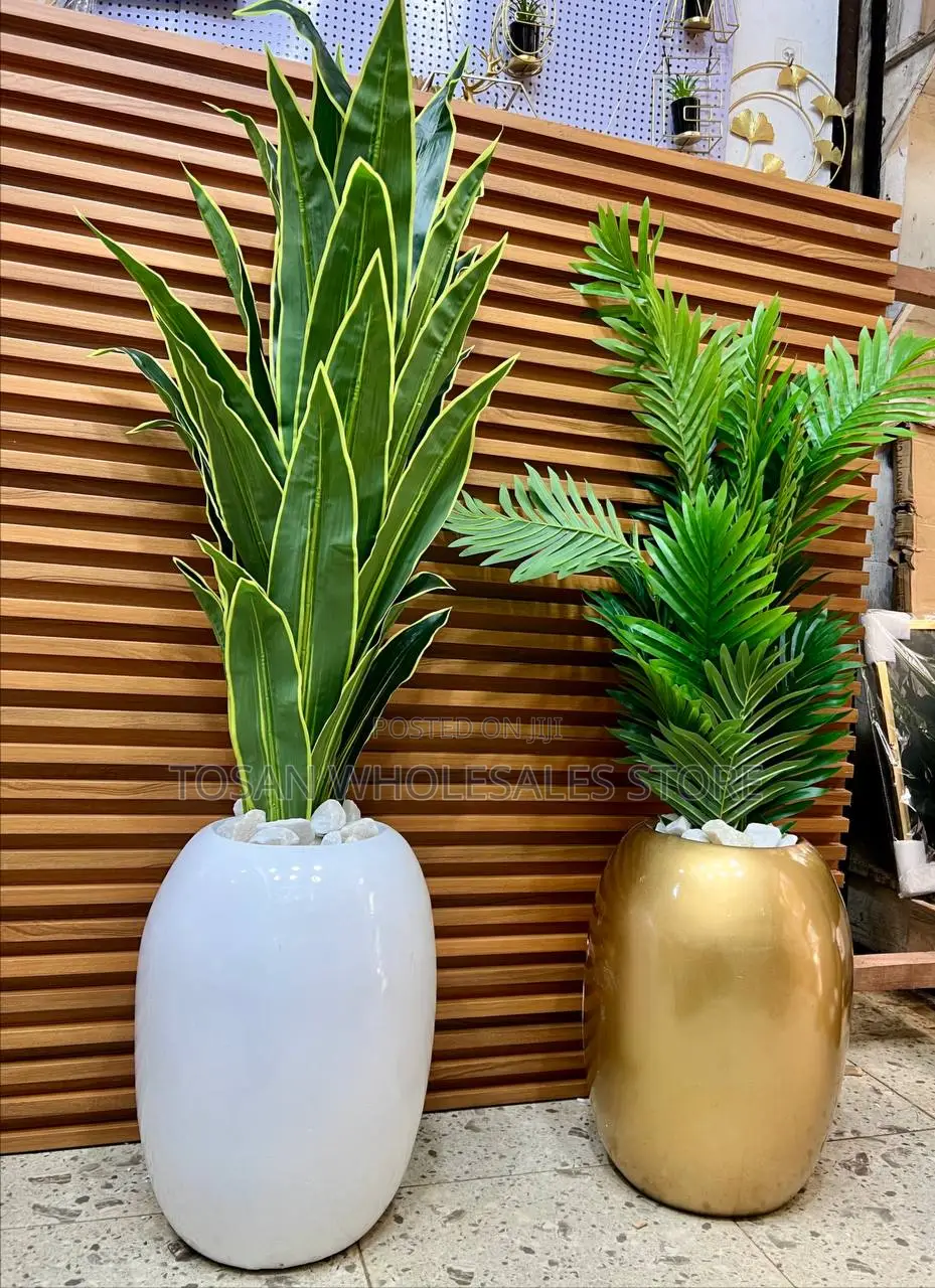 Egg Shaped Fiber Pot With Plant
