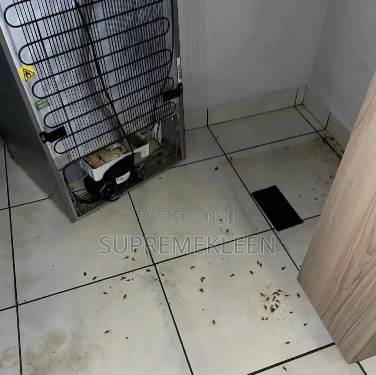 Fumigation Pest Control Services
