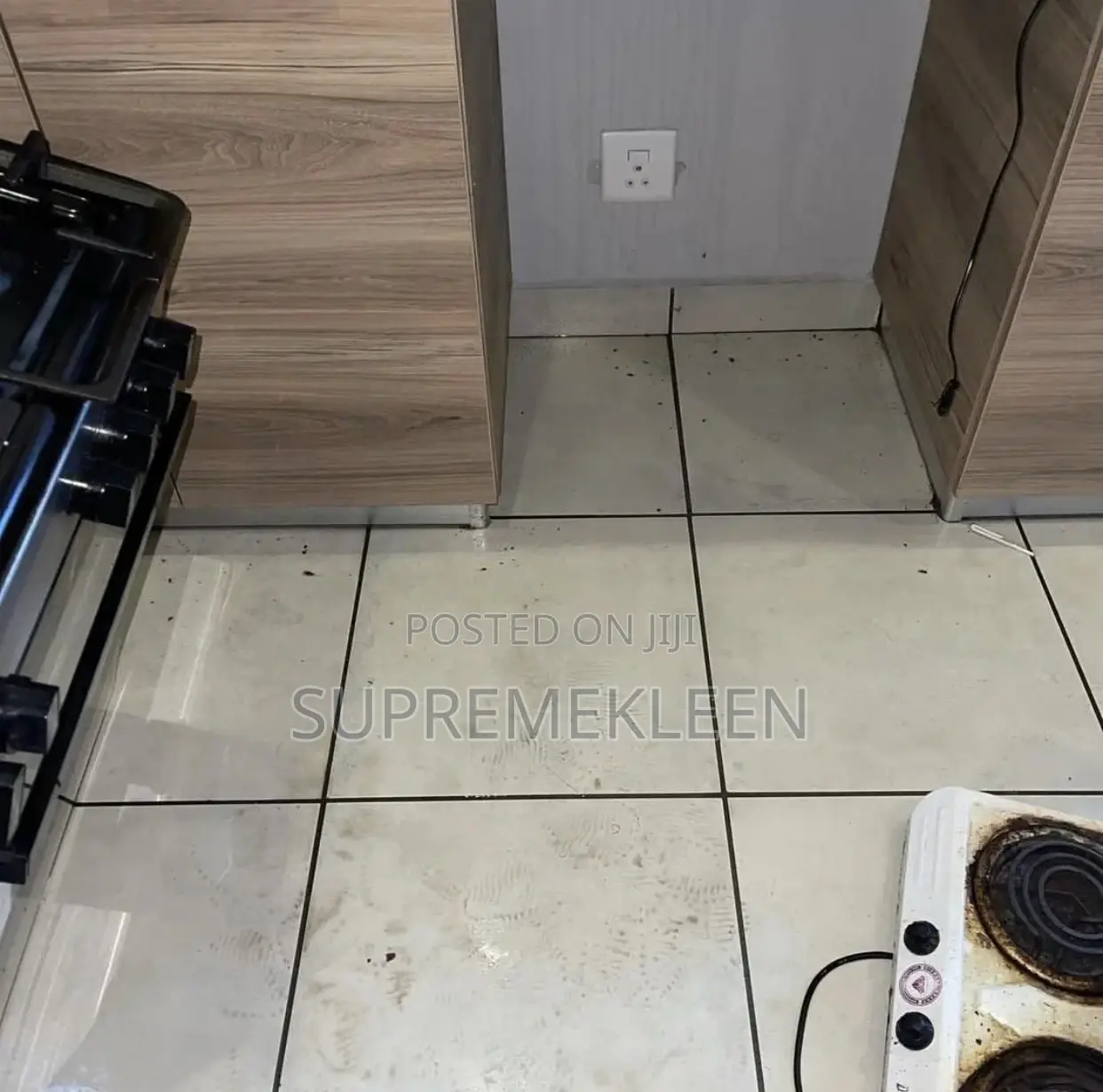 Fumigation Pest Control Services