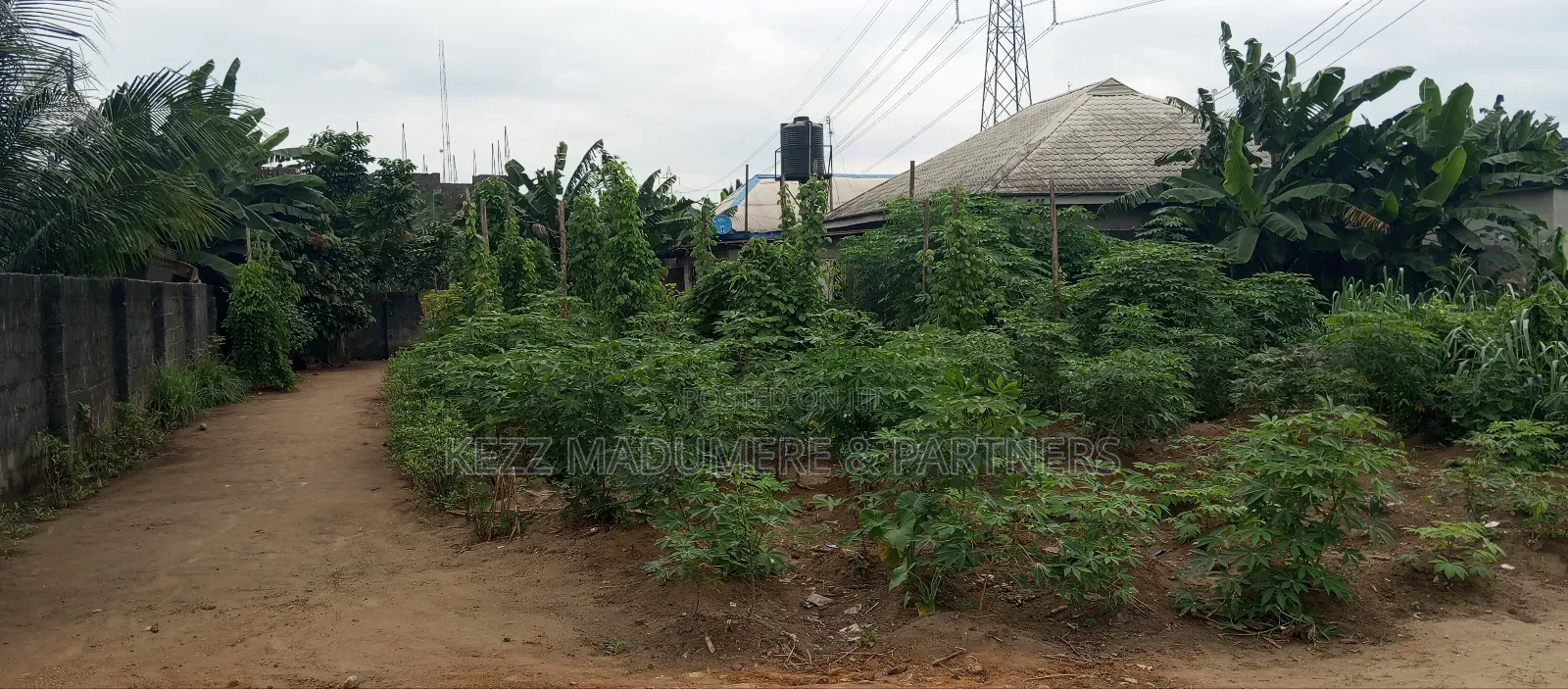 For Sale : 1 Plot a Pole Off Major Sars Road , Rumuaghulu