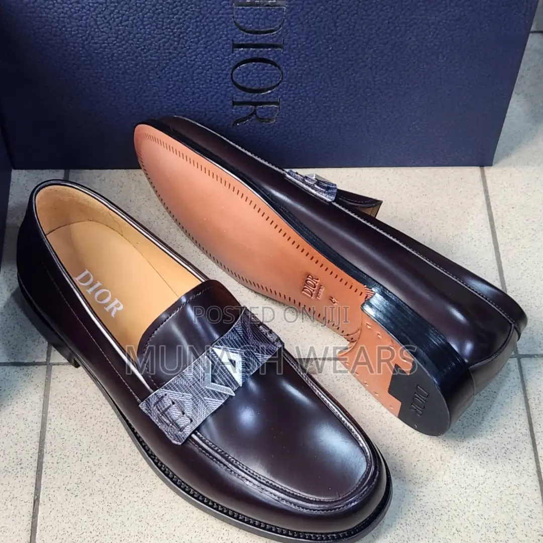 Luxury Italian Dior Shoe