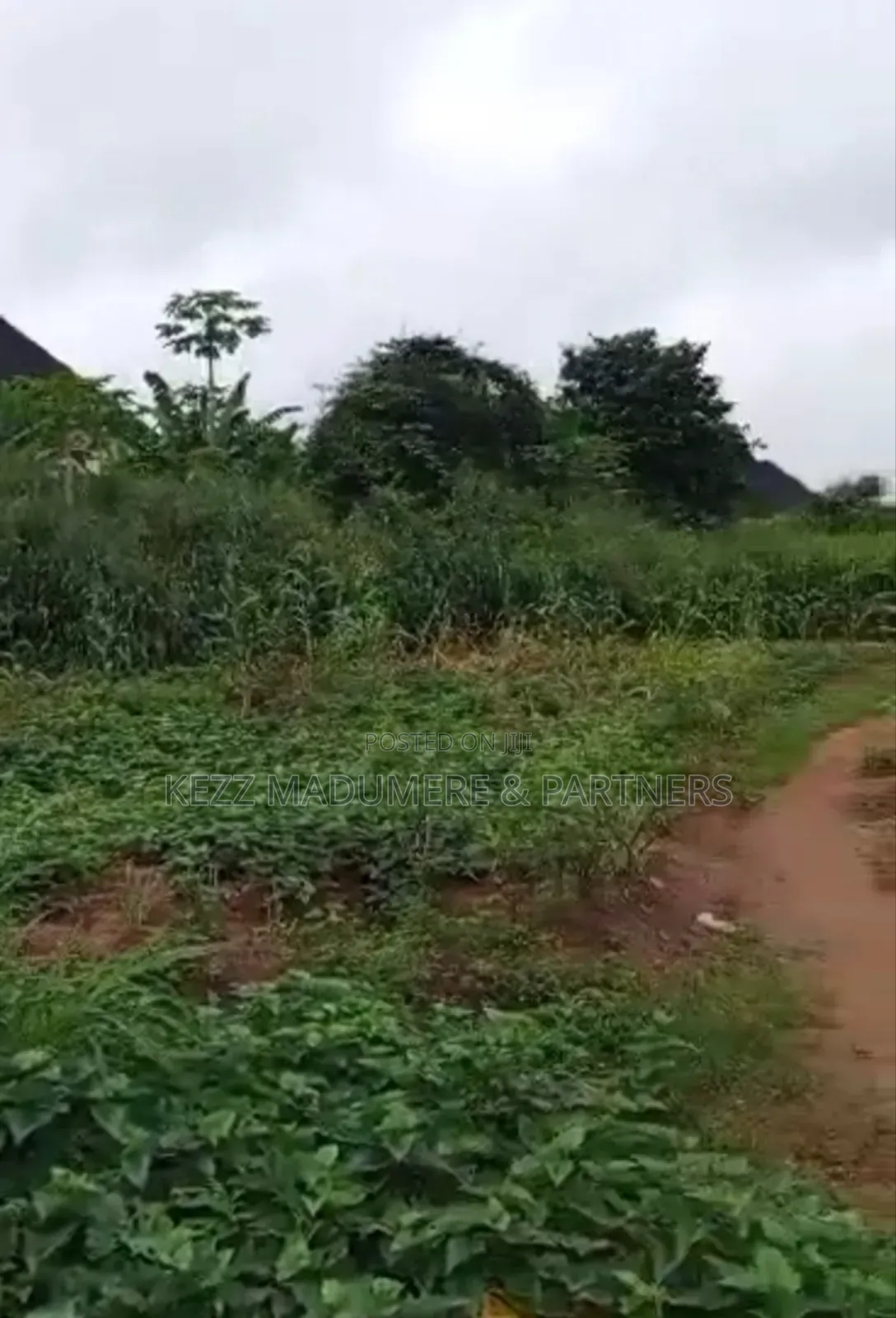 For Sale: Fenced 12 Plots, At New Owerri, Imo State