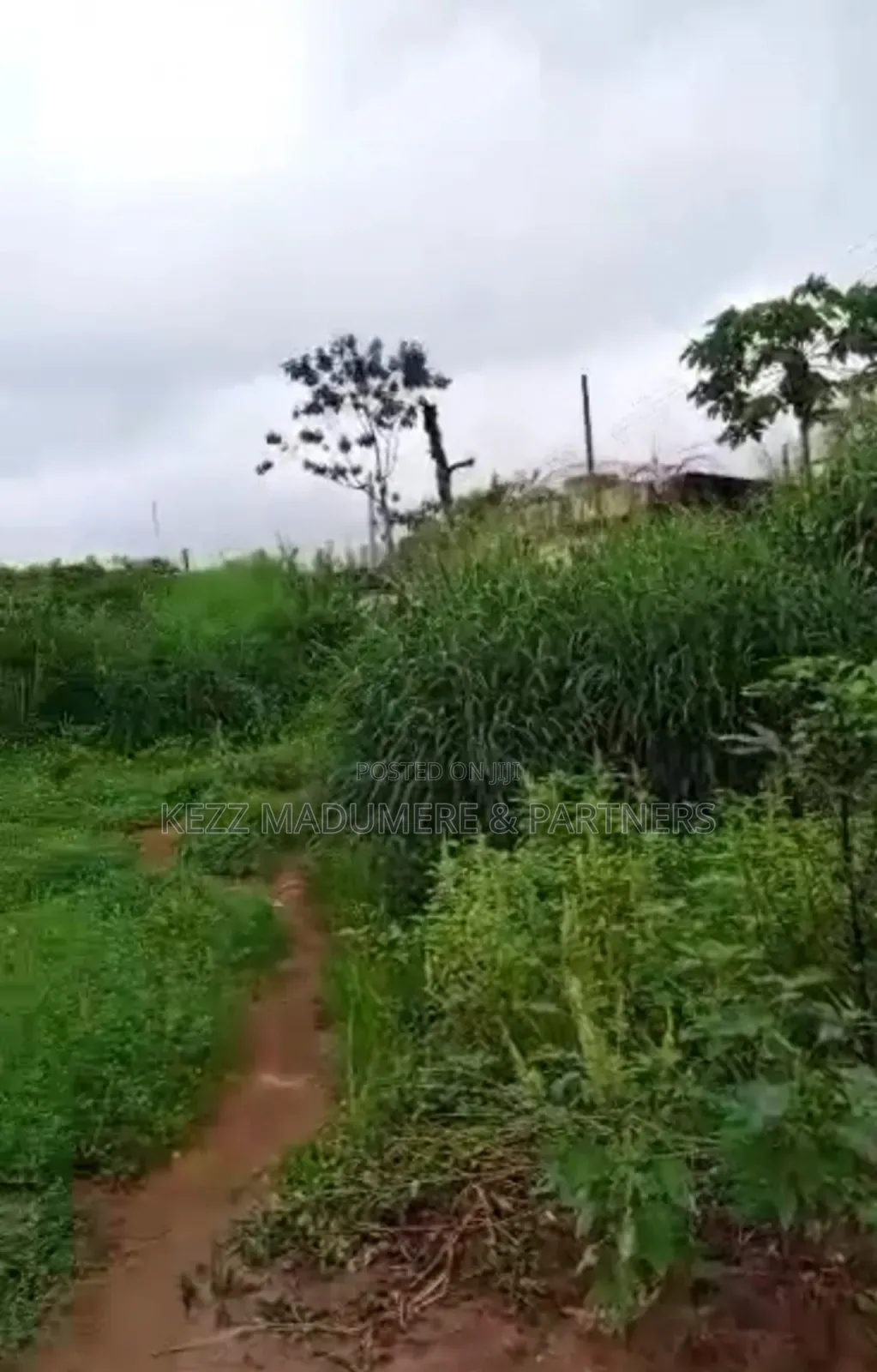 For Sale: Fenced 12 Plots, At New Owerri, Imo State
