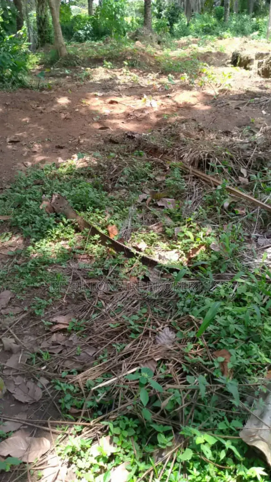 Buy and Build Distress Sale One Plot at Off Ph Rd Owerri