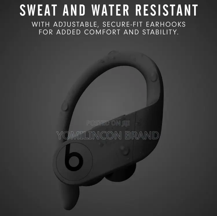 Beats Powerbeats Pro Wireless Earbuds