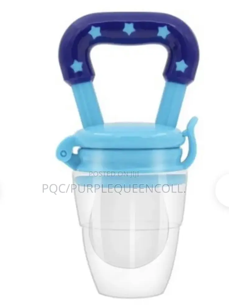 Baby Fruit Pacifier