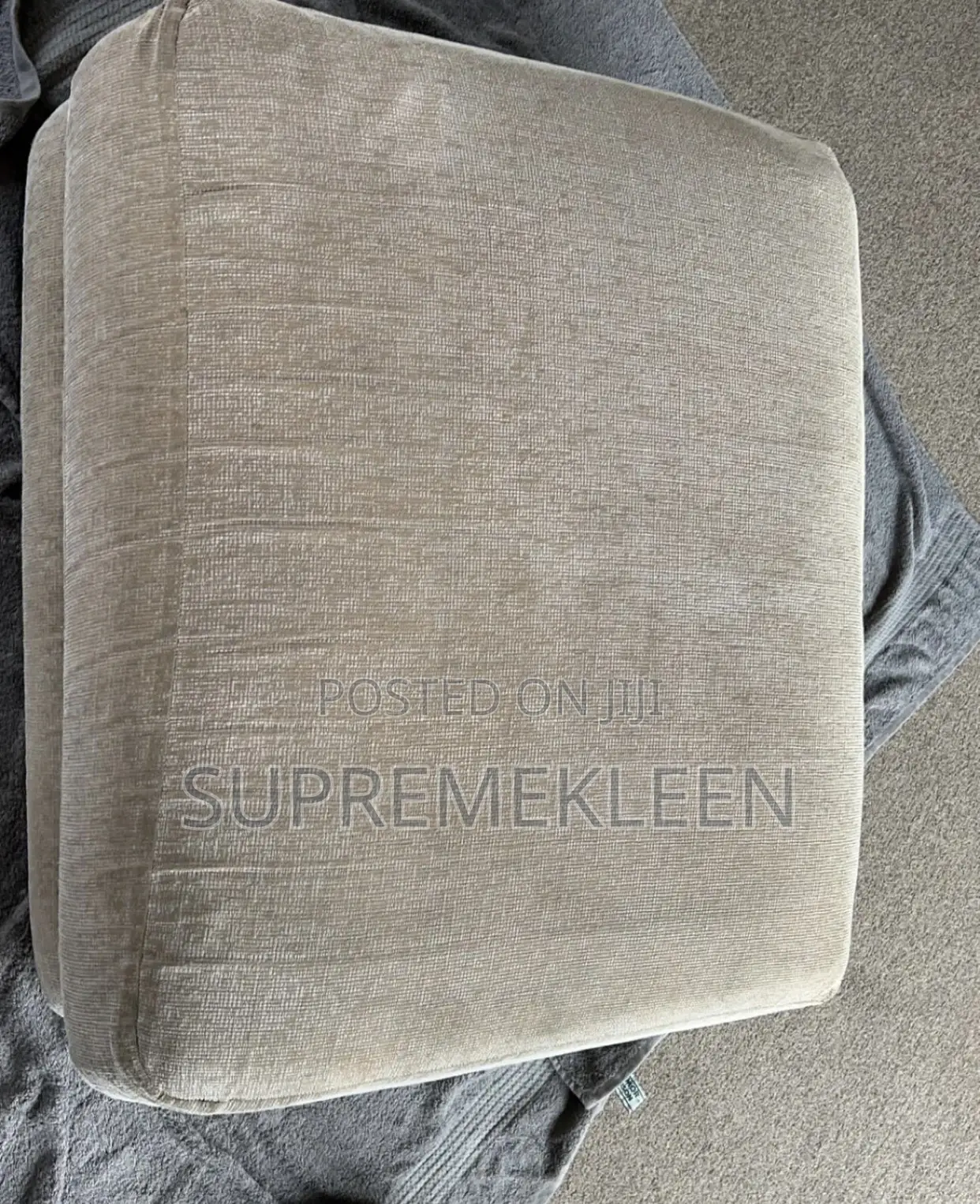 Professional Expert in Deep Upholstery Cleaning Services