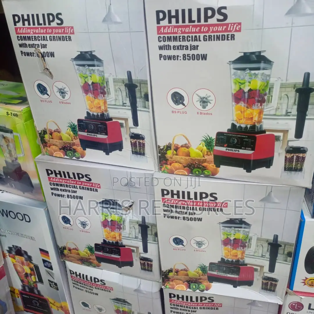 Philips Professional Commercial Blender Double Cup
