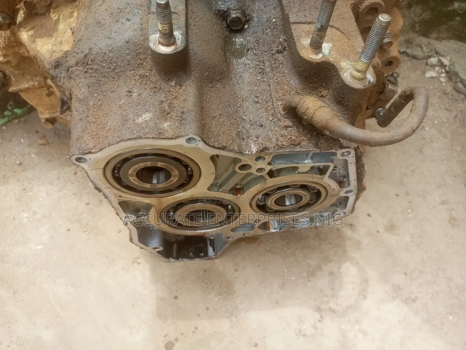 Hala/Bull Dog Gearbox