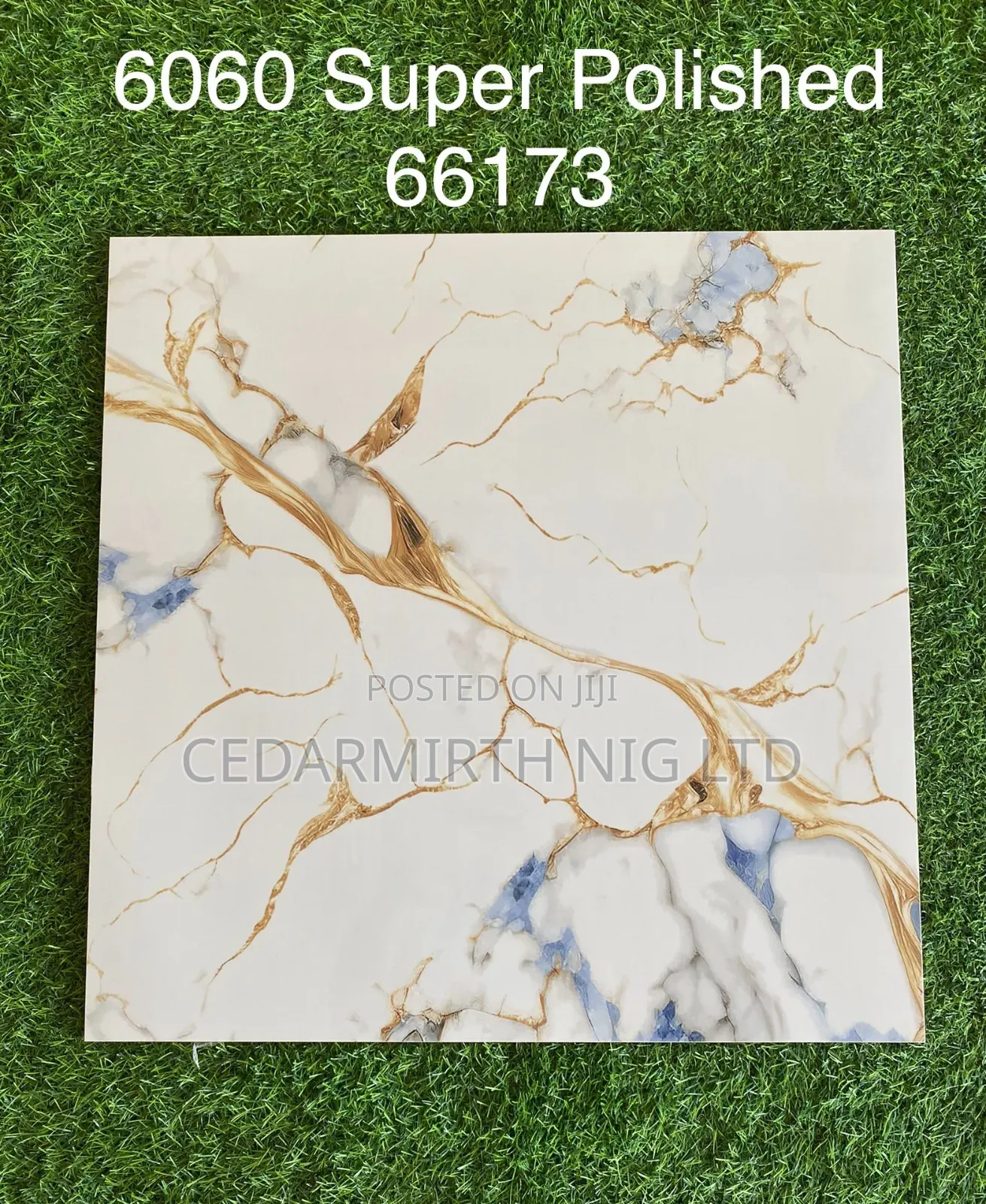 Marble Floor Tile 24 Gw