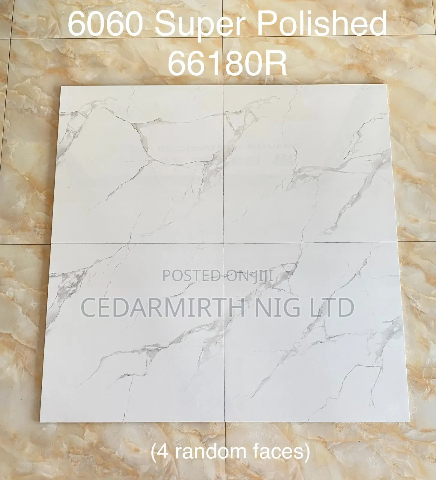 Marble Floor Tile 24 Gw