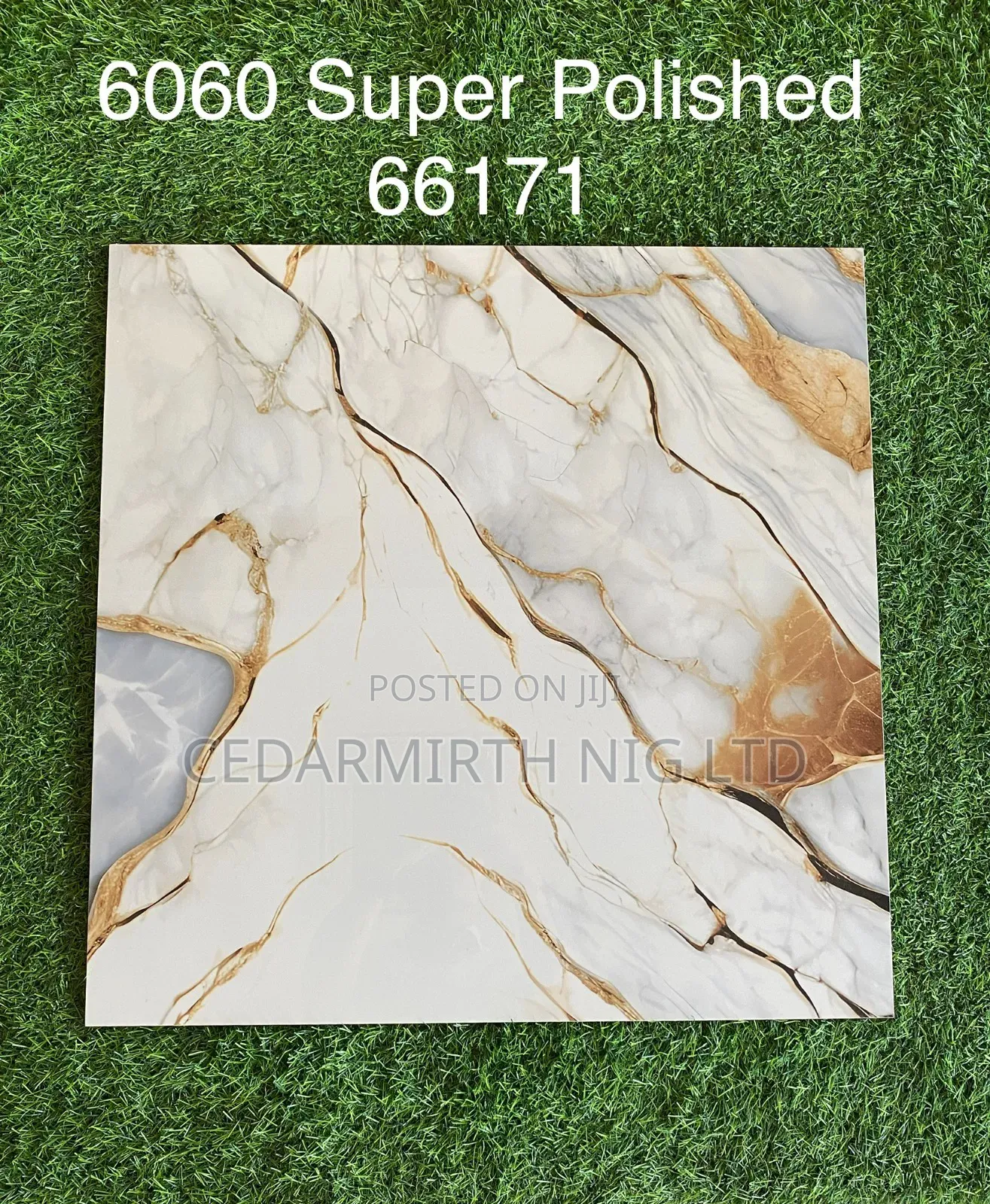 Marble Floor Tile 24 Gw