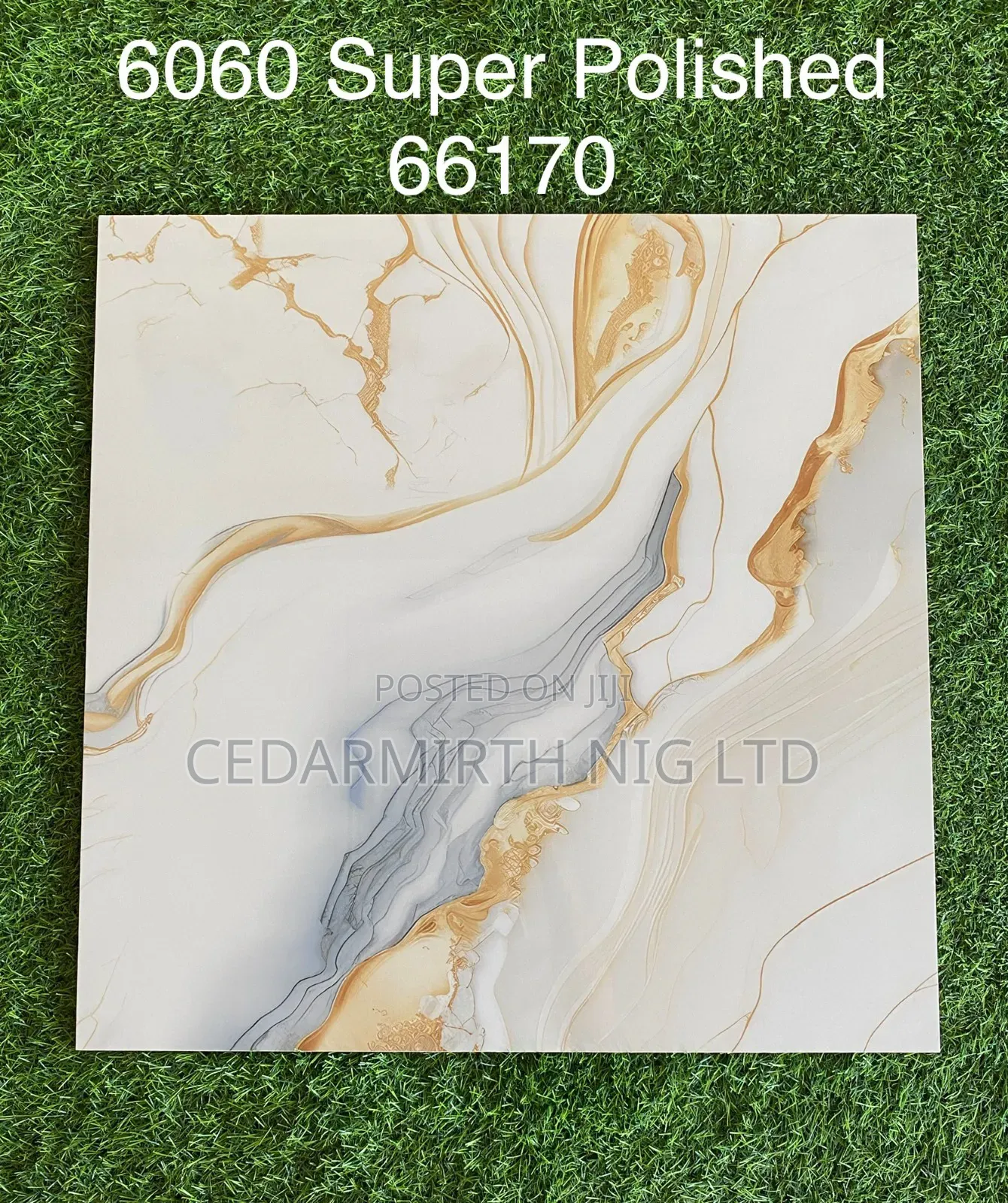 Marble Floor Tile 24 Gw