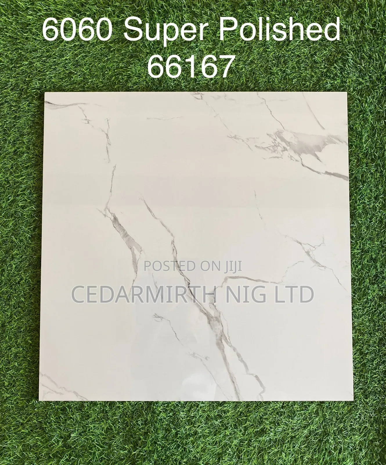 Marble Floor Tile 24 Gw