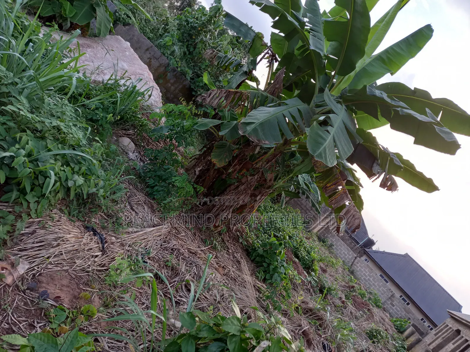 A Plot of Land Measuring 600sqm2 in Duke Estate