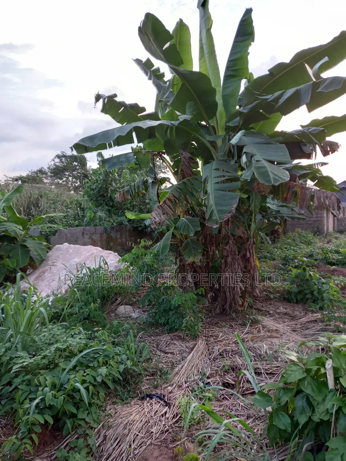 A Plot of Land Measuring 600sqm2 in Duke Estate