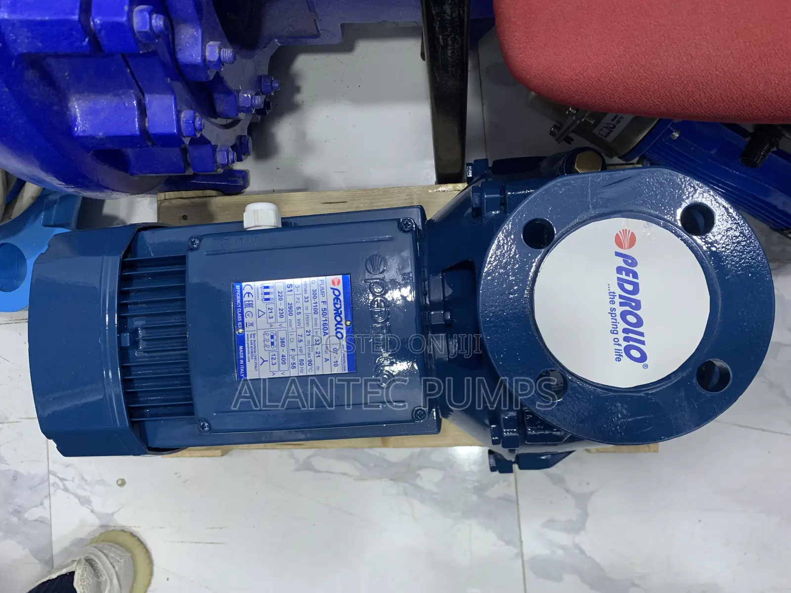 Pedrollo Surface Water Pumps