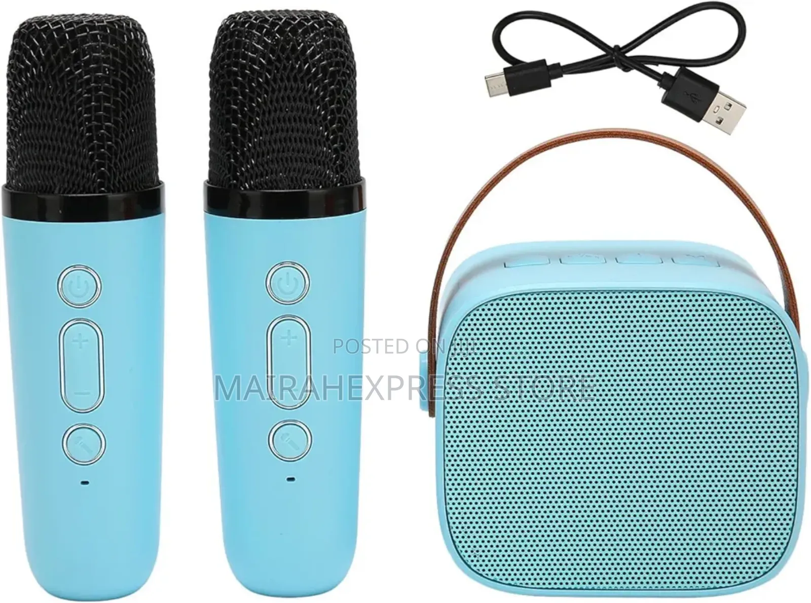 Karaoke Portable Bluetooth Speaker With 2 Wireless 