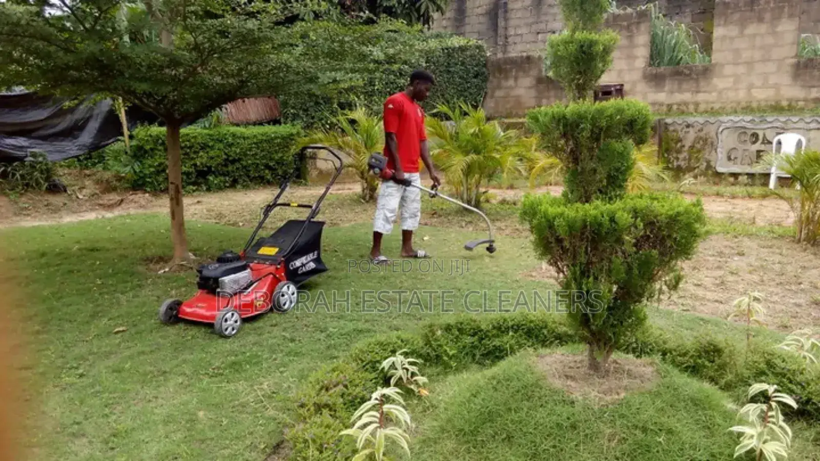 Proffessional Garden Maintenance and Landscape