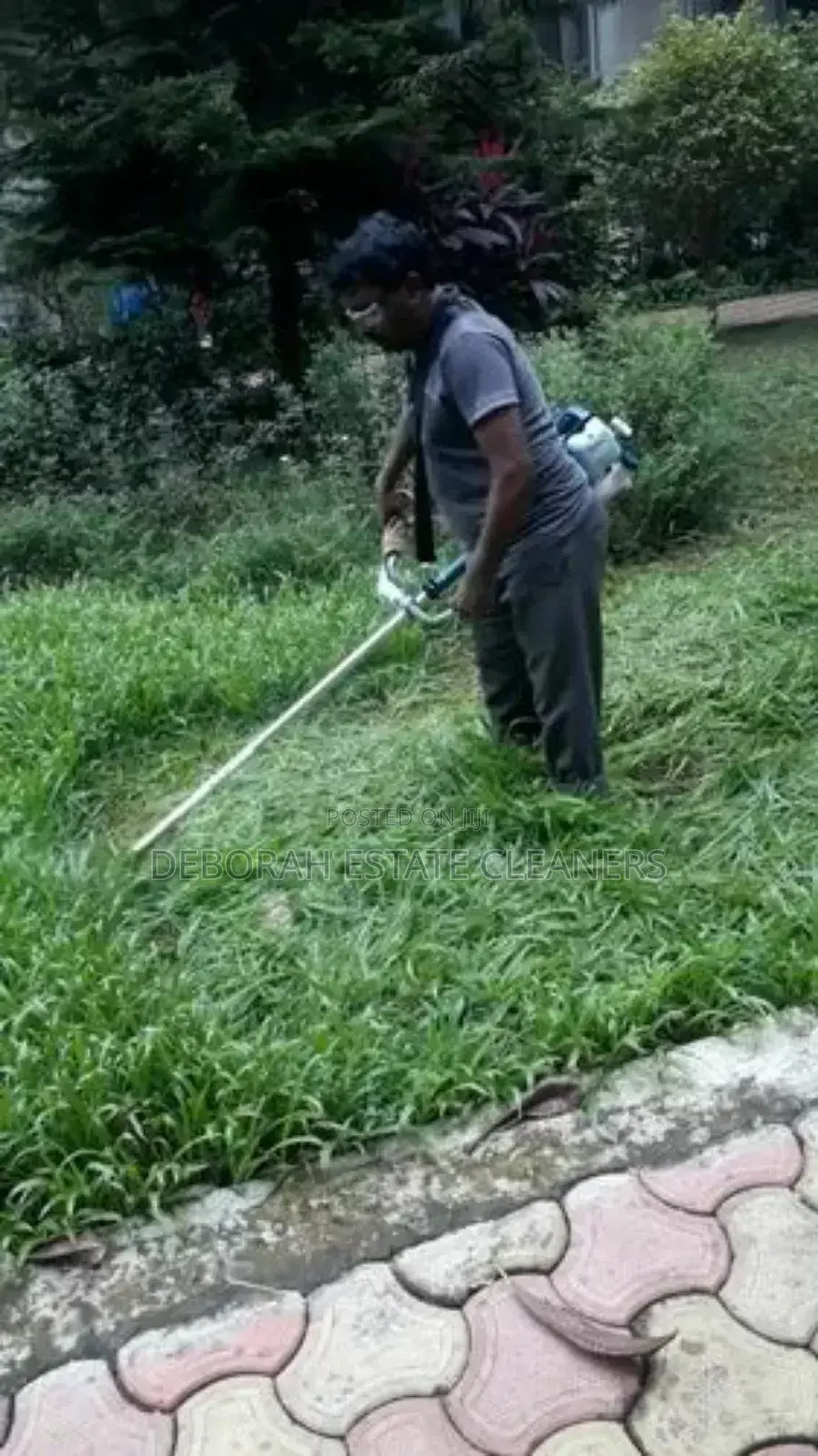 Professional Gardening ( Trimming of Flowers )