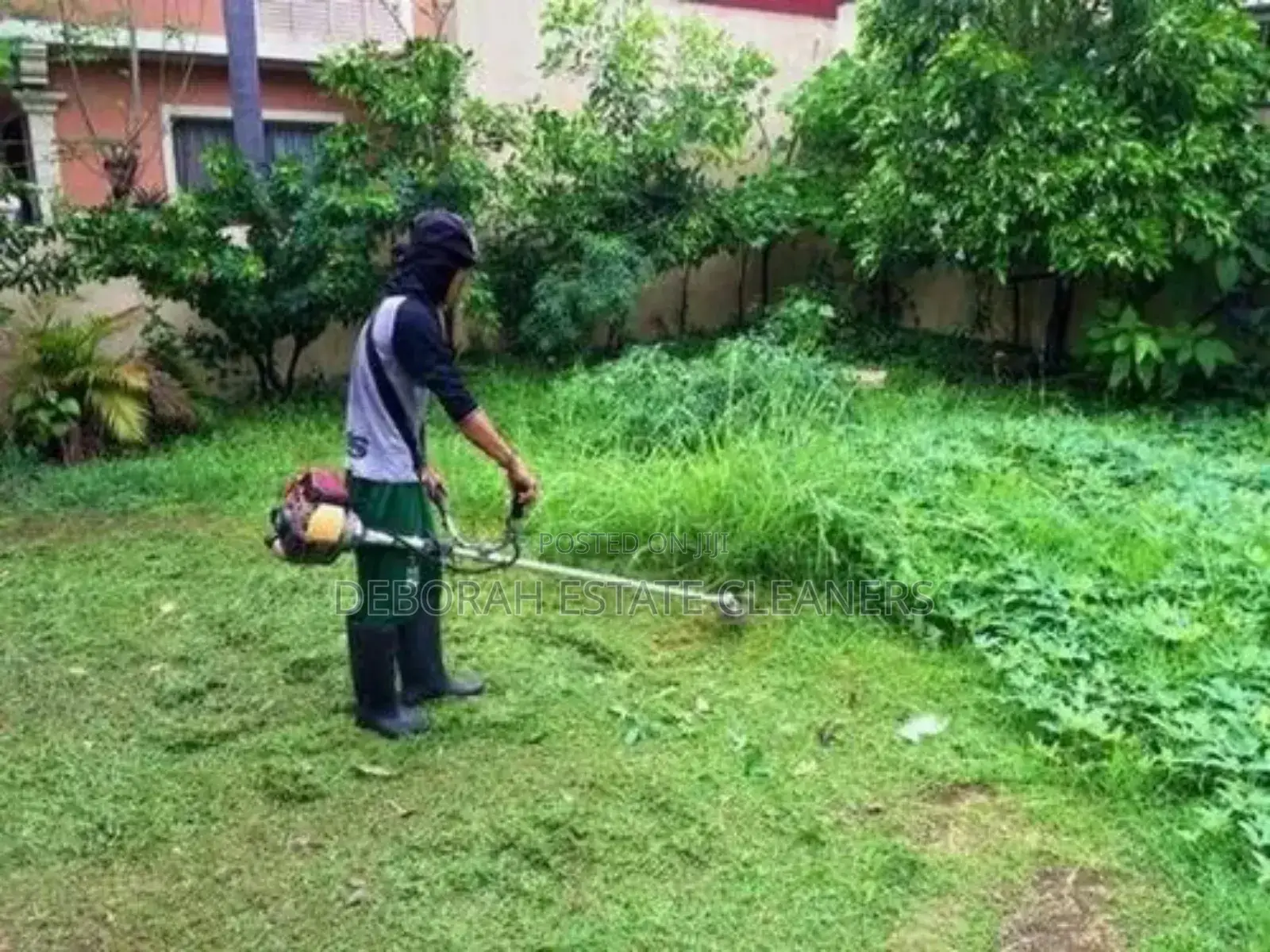 Affordable and Professional Gardening