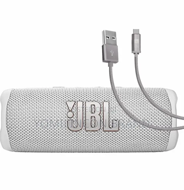 JBL Flip 6 White