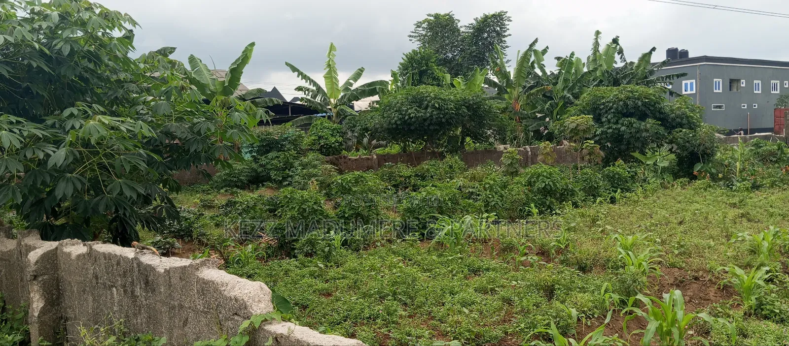 For Sale : Two (2) Plots on Major Sars Road