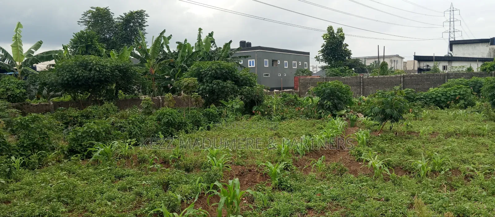 For Sale: 2 Fenced Plots , on Major Sars Rd