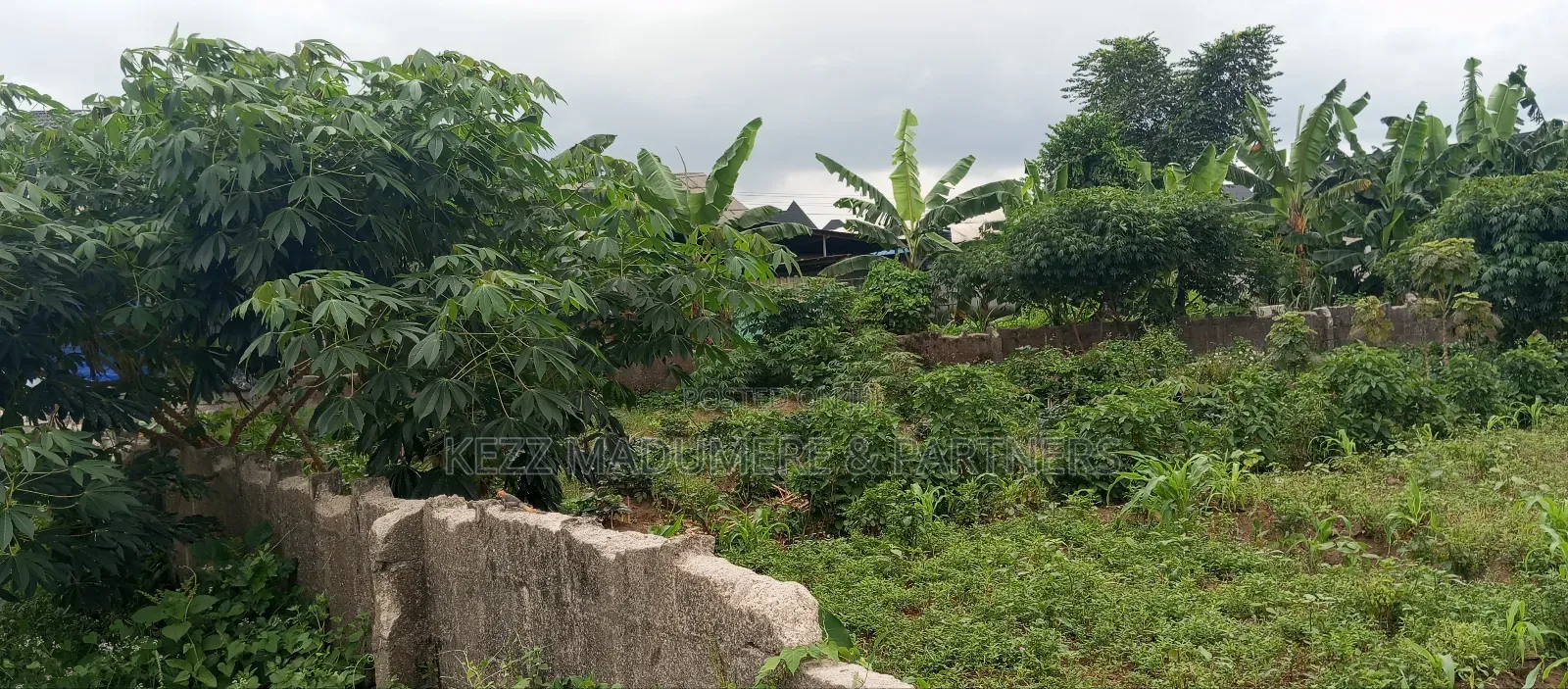 For Sale: 2 Fenced Plots , on Major Sars Rd