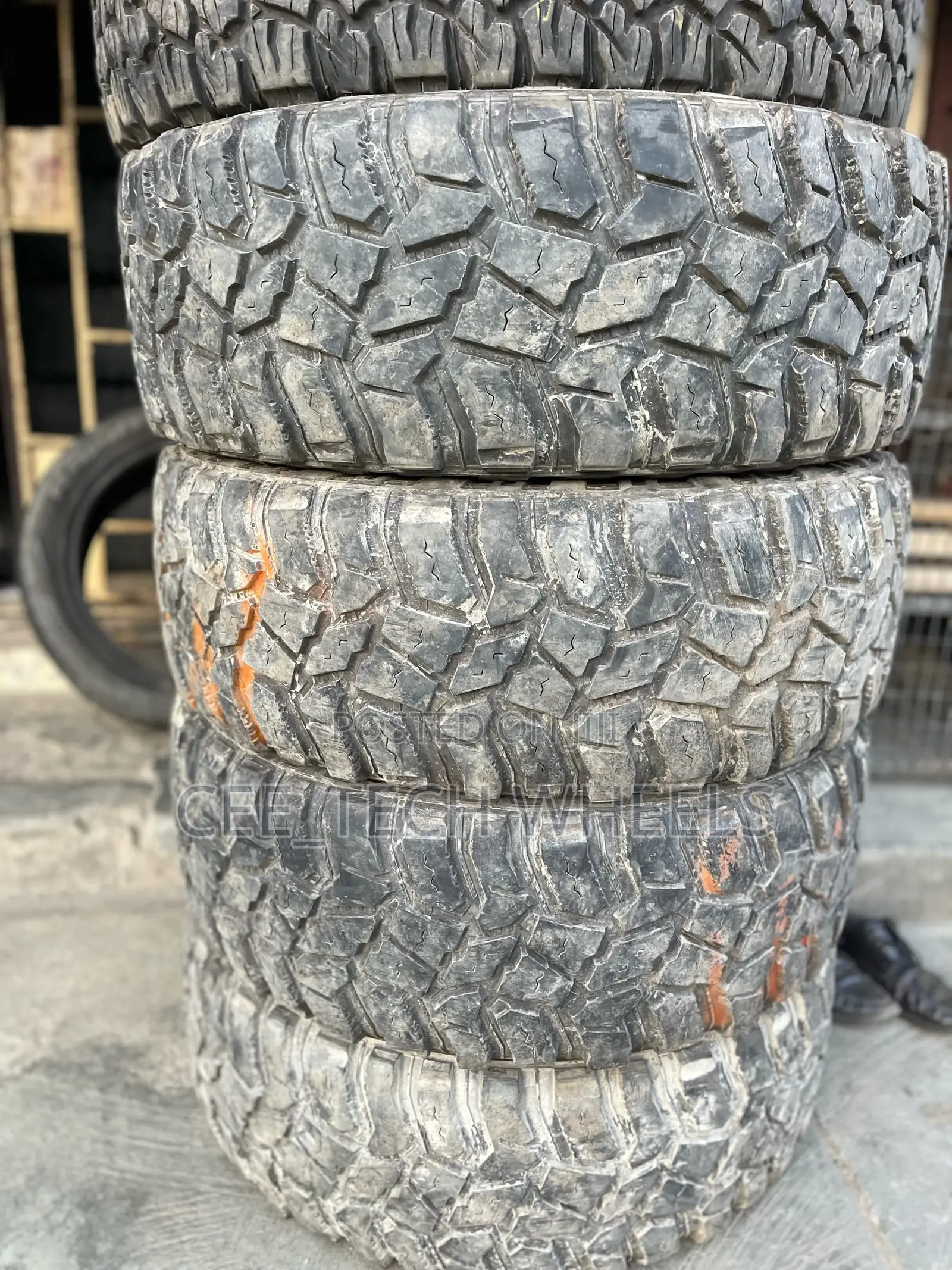 Mud Terrain Teeth Sitting in Pretty