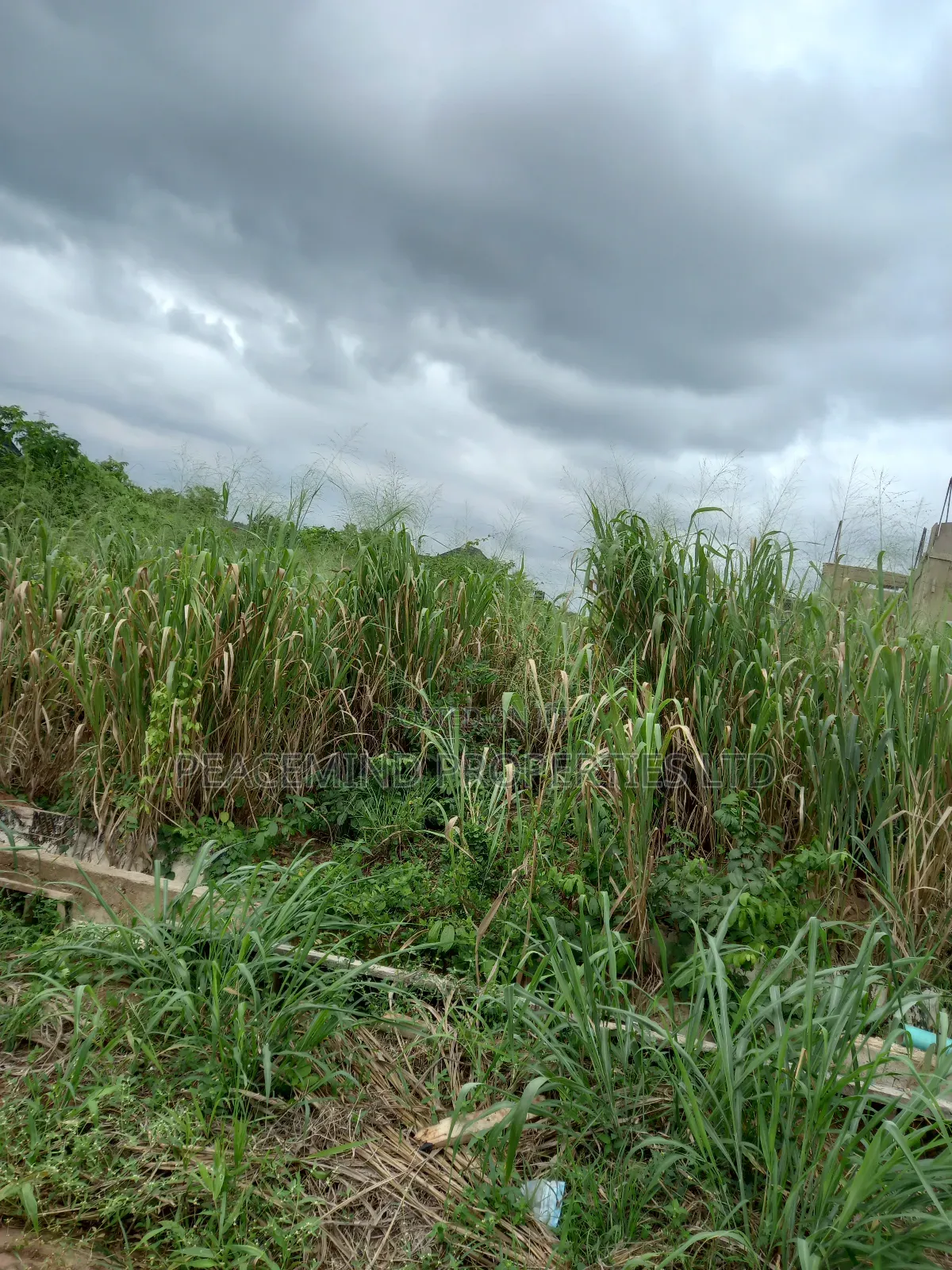 A Plot Of Land In Emirald Estate Shimawa #14m