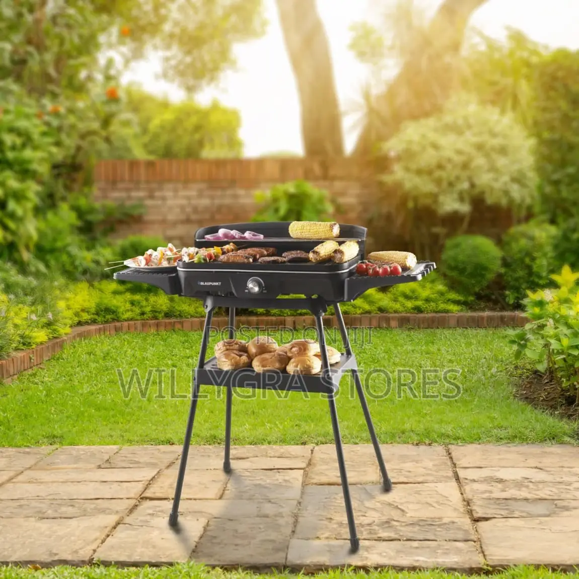 Blaupunkt Indoor/Outdoor Electric Bbq Grill