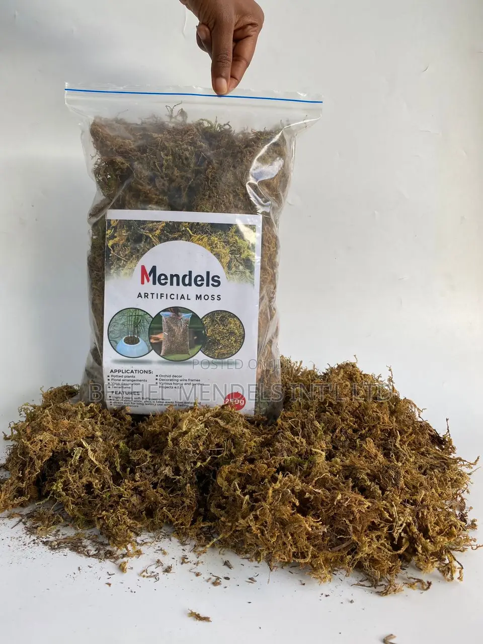 Bulk Sales of Artificial Moss for Homes/Offices Decor | 250g