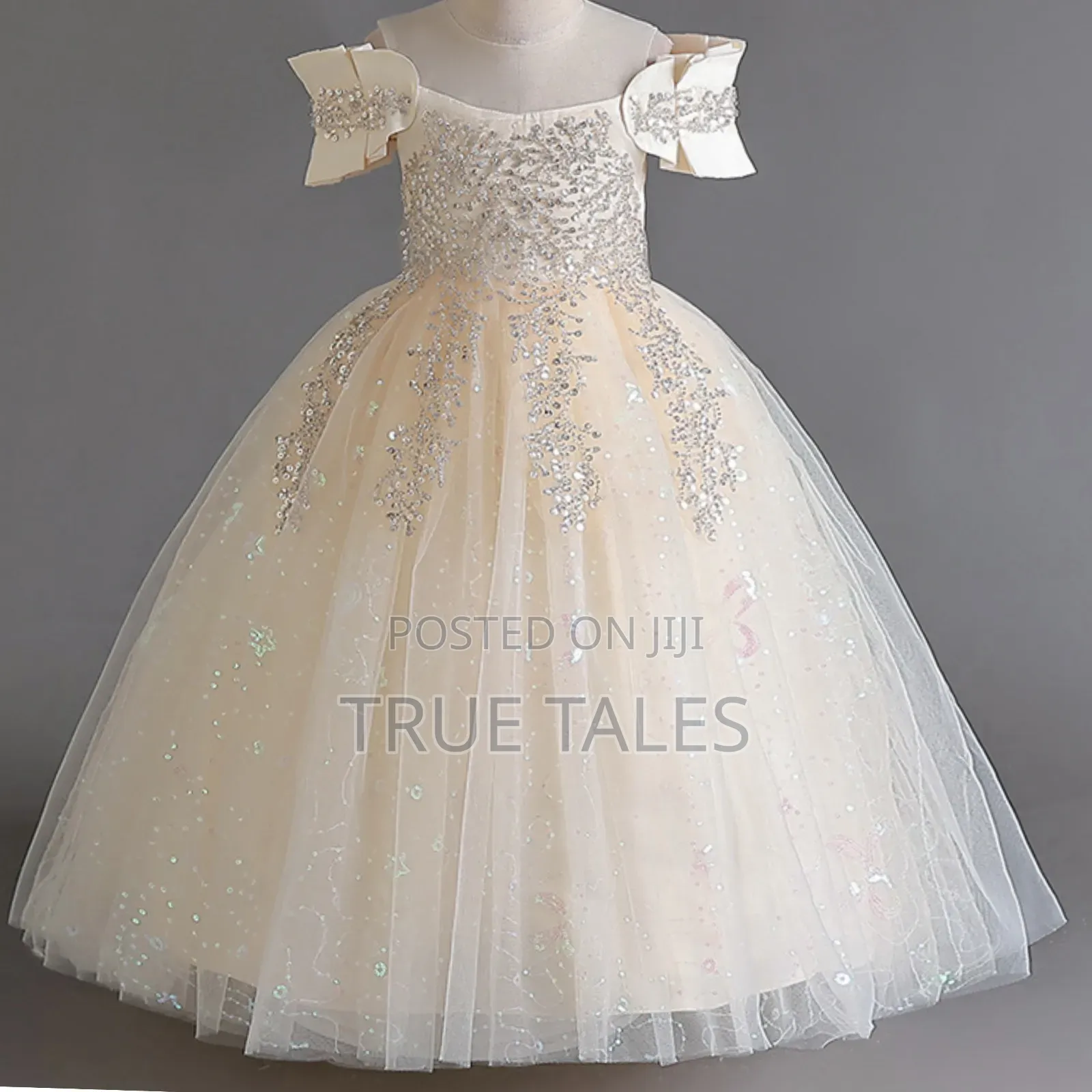 Cinderella Ballgown Dress Embellished With Glitters Sequins