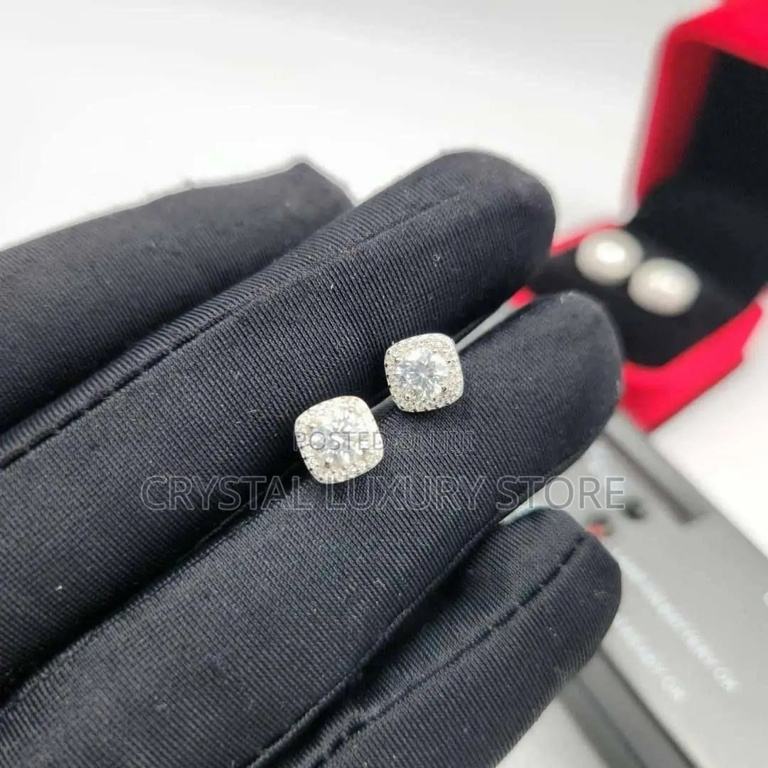 Moissanite Stud Earring Silver Passes Diamond Test