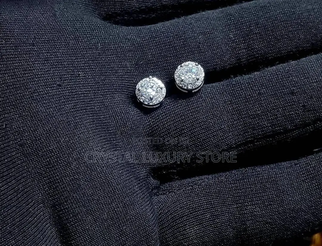Moissanite Stud Earring Silver Passes Diamond Test