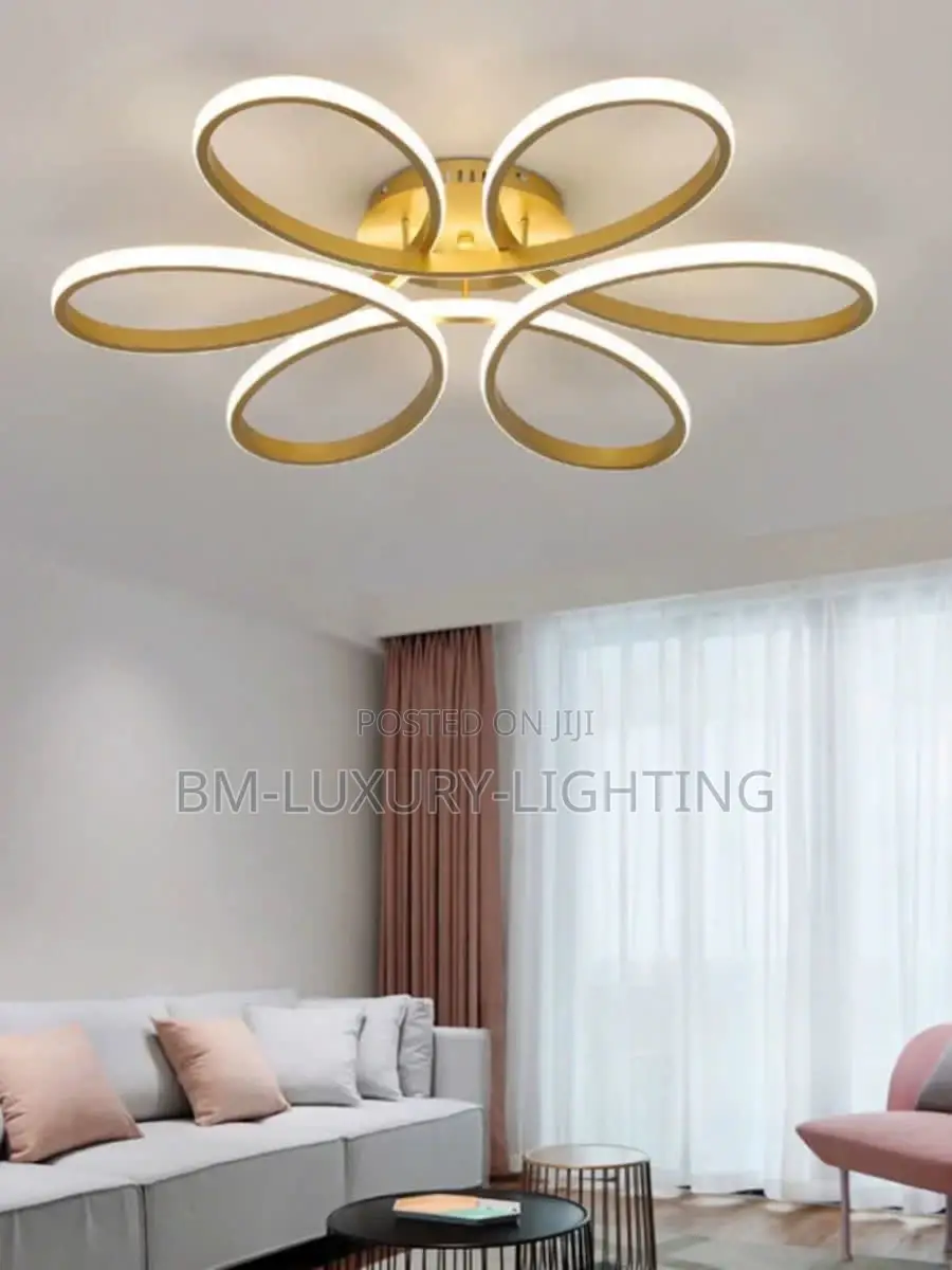 Ceiling Fitting