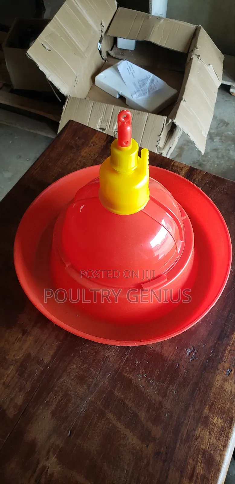 Automatic Bell Drinkers