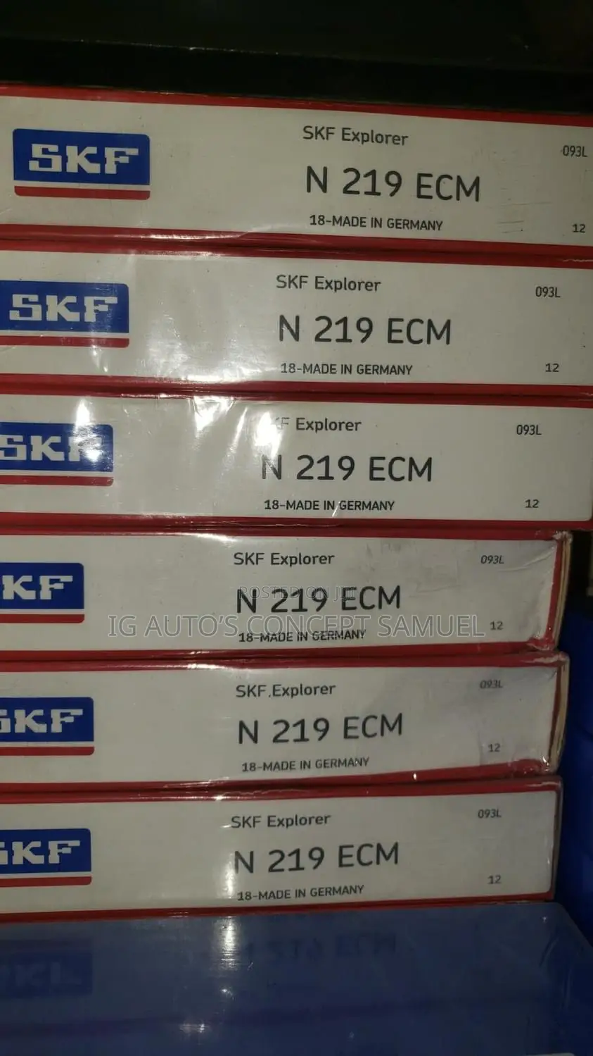 N219 ECM SKF Bearing Available