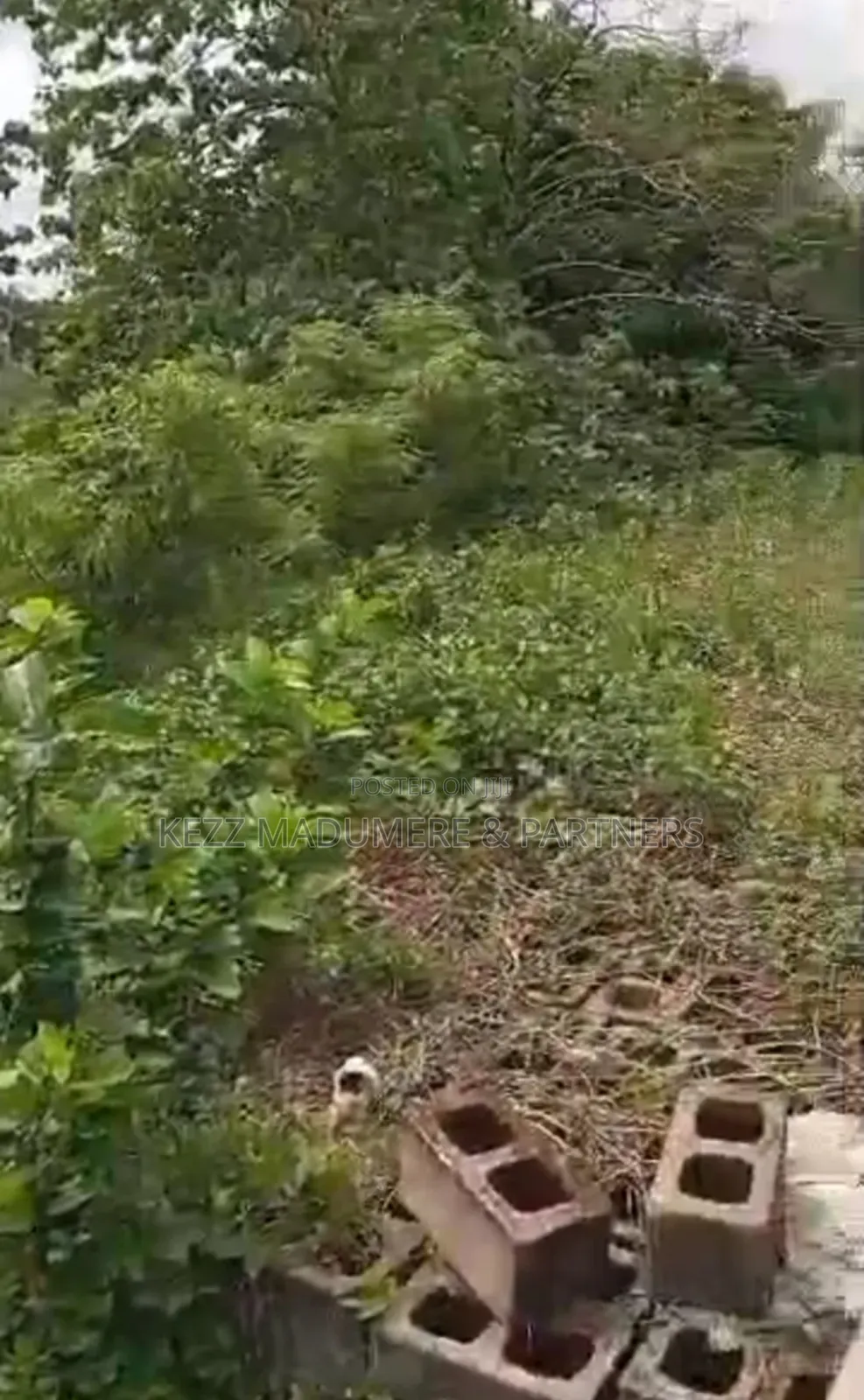 For Sale: 10 Plots Between New MKT and Sars Office , Enugu
