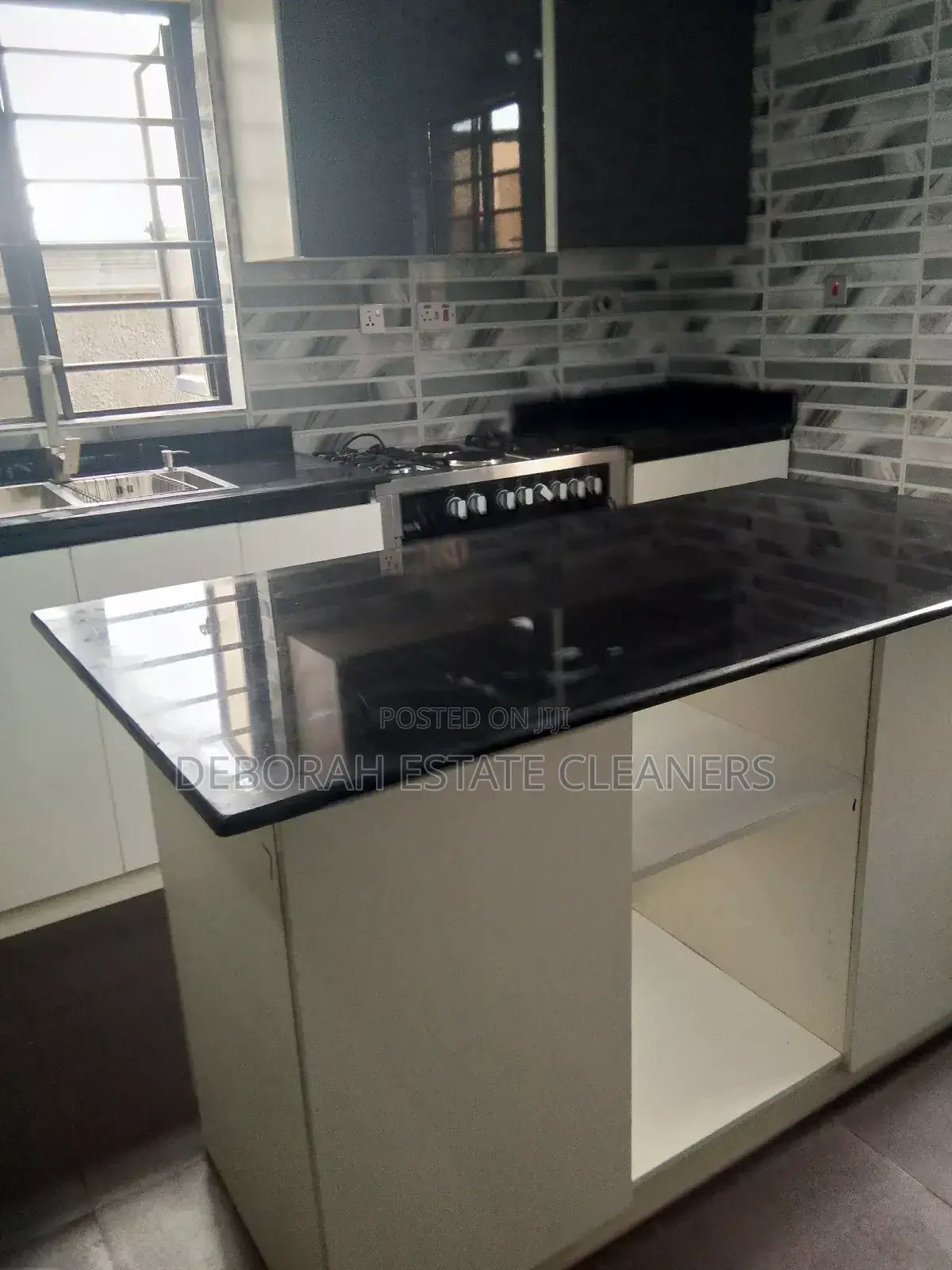 Professional Hands Cleaning and Fumigation Service