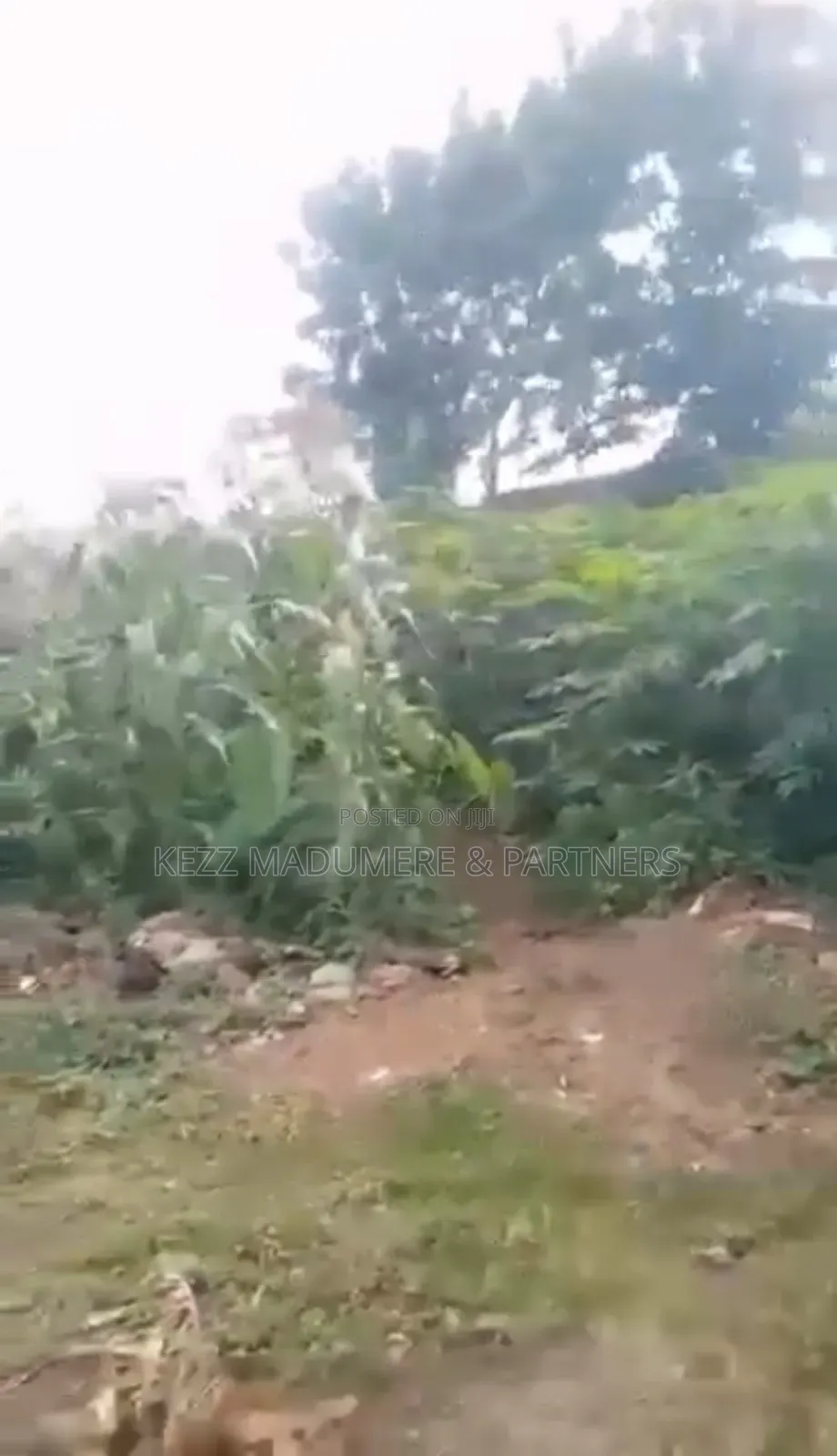 For Sale : Cofo 1129 SQMTS at Ogbodor, Independence Layout.