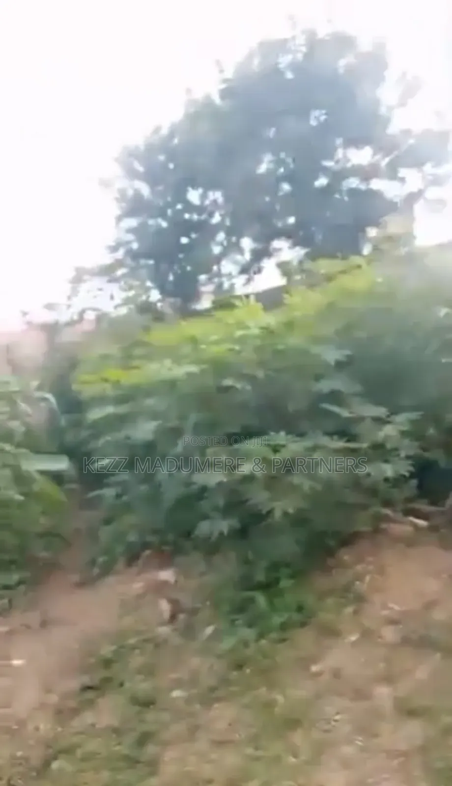 For Sale : Cofo 1129 SQMTS at Ogbodor, Independence Layout.