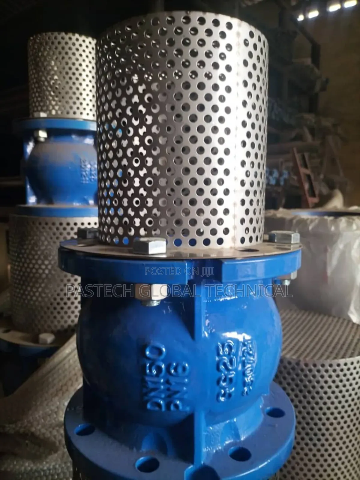 Check Foot Valve Flanged Cast Iron 304/Epdm Strainer PN16
