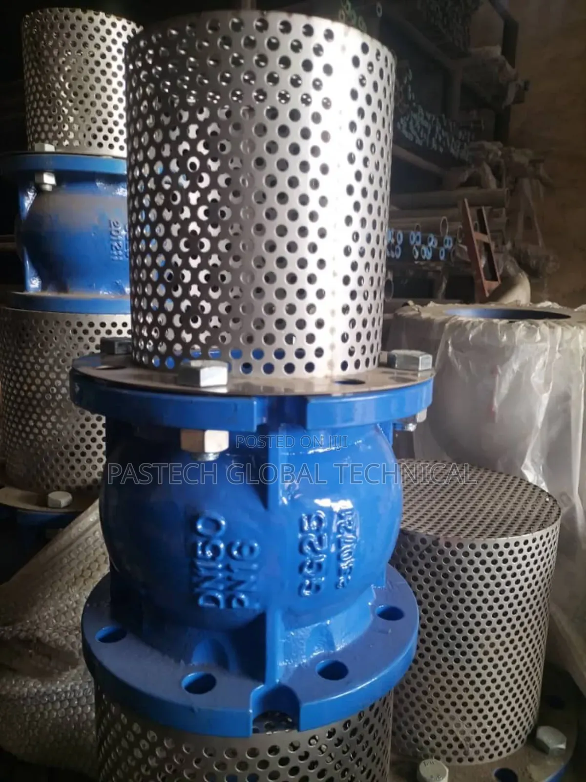 Check Foot Valve Flanged Cast Iron 304/Epdm Strainer PN16