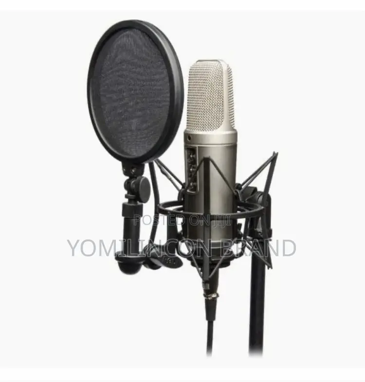 Rode Microphones Nt2-a Studio Microphone