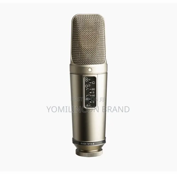 Rode Microphones Nt2-a Studio Microphone